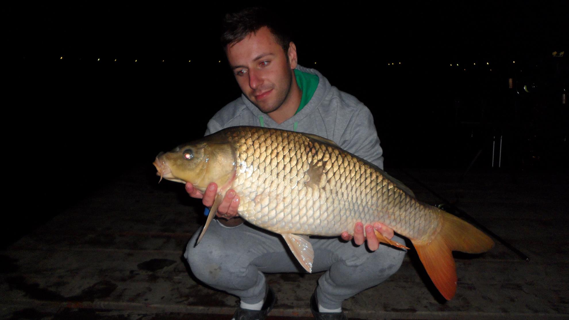 Pleasa 2013 - sam2657.JPG